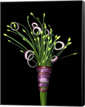Framed Chive Blossoms &amp; Red Onion Print