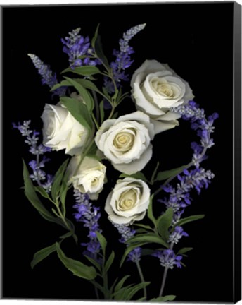 Framed White Rose &amp; Salvia Print