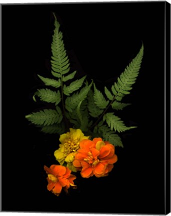 Framed Ferns &amp; Marigolds Print