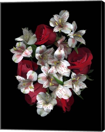Framed Red Roses And Alstromeria Print