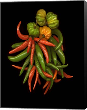 Framed Hot Peppers 3 Print