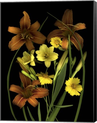 Framed Lilies &amp; Coreopsis Print