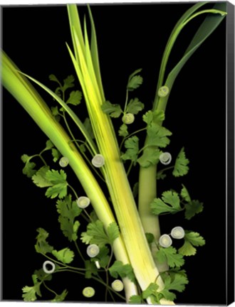 Framed Leeks, Cilantro &amp; Scallions Print