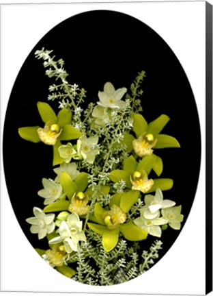 Framed Orchids &amp; Paperwhites Print