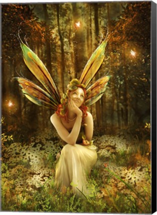 Framed Fairies Vale Print
