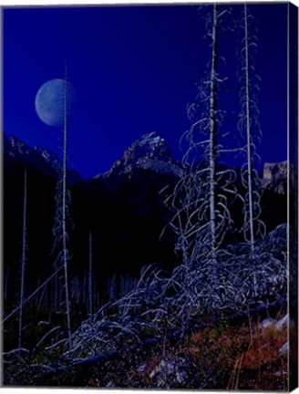 Framed Teton J Print