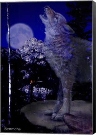 Framed Blue Moon Print