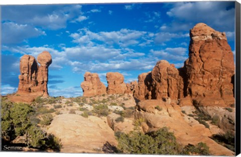 Framed Arches C Print