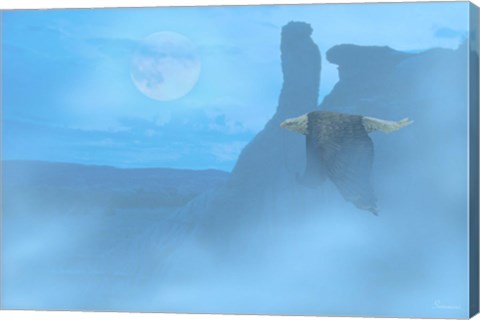 Framed Still Of The Night Print