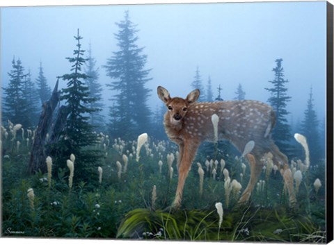 Framed Fawn Memories Print