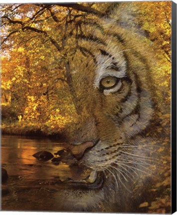 Framed Fade To Night Print