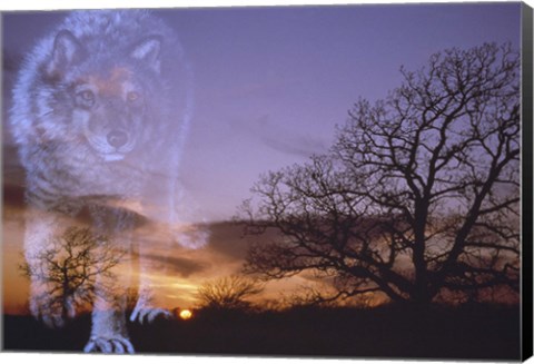 Framed Night Rules Print