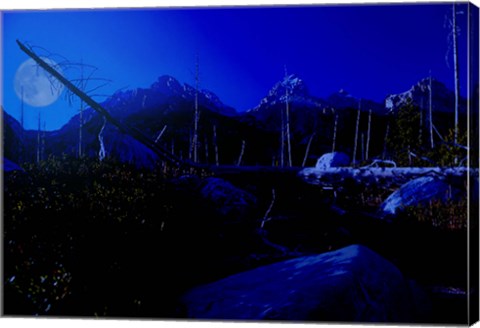 Framed Teton F Print