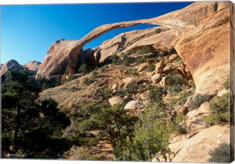 Framed Arches N Print