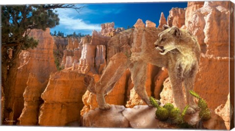 Framed Hidden Canyon 2 Print