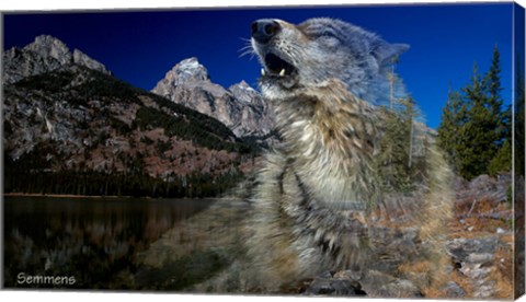 Framed Morning Echo Print