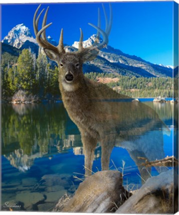 Framed Point Of View 2 Print