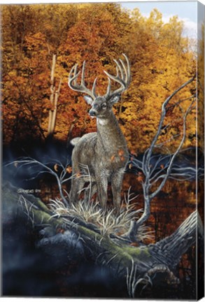 Framed Minnesota Autumn Print