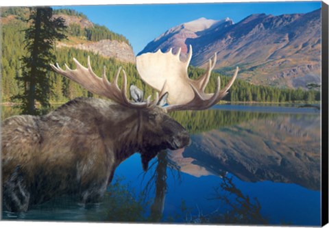 Framed Morning Time Print