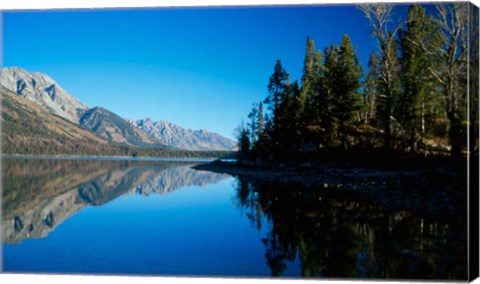 Framed Teton  B Print