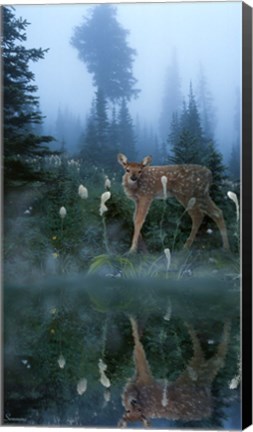 Framed Age Of Reflection Print