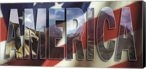 Framed America 2 Print