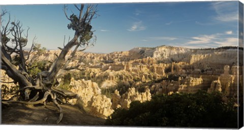 Framed Bryce Canyon E Print