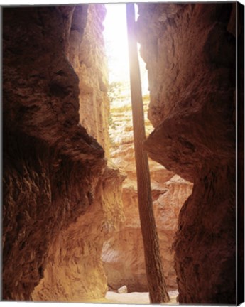 Framed Bryce Canyon M Print