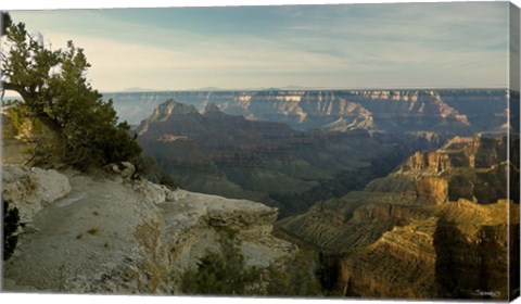 Framed Grand Canyon B Print