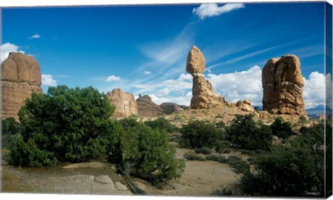 Framed Arches D Print