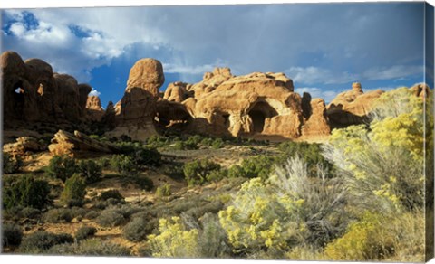 Framed Arches I Print