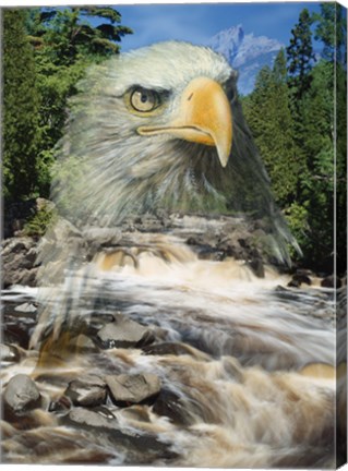 Framed From Above Print