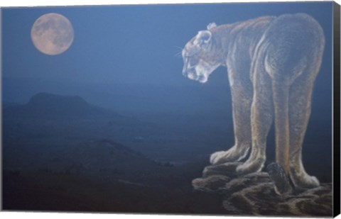 Framed Tiger And Full Moon Print