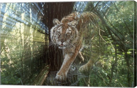 Framed Pursuit Print