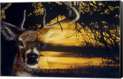 Framed Staying Safe Print