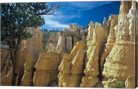 Framed Bryce Canyon F Print