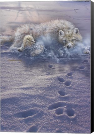 Framed Arctic Tracks Print