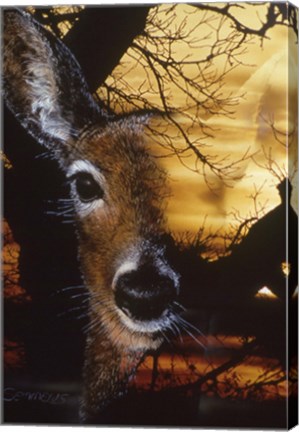 Framed Staying Safe 2 Print