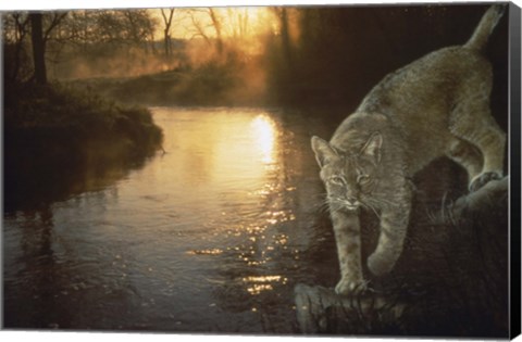 Framed Misty Water Morn Print