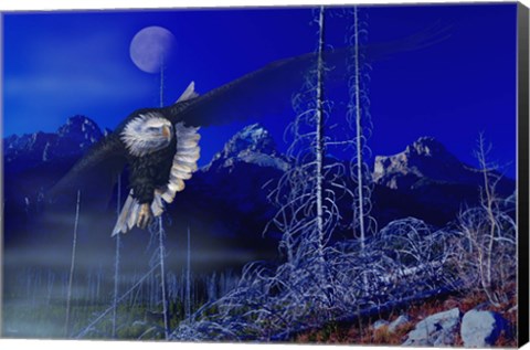 Framed Misty Moonlight Print