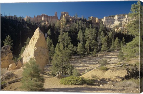 Framed Bryce Canyon I Print