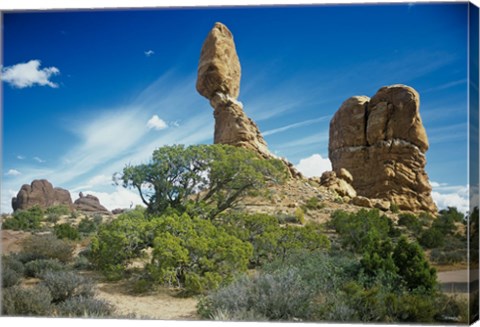 Framed Arches E Print