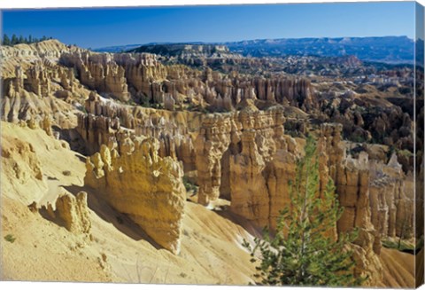 Framed Bryce Canyon N Print