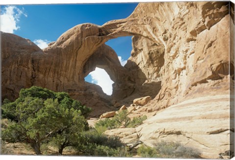 Framed Arches P Print