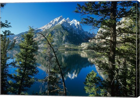 Framed Teton G Print