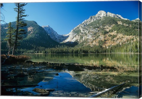 Framed Teton N Print