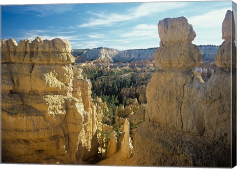 Framed Bryce Canyon B Print