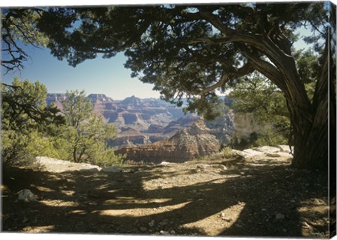 Framed Grand Canyon D Print