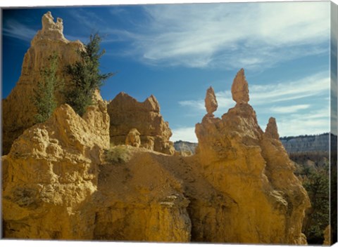 Framed Bryce Canyon L Print