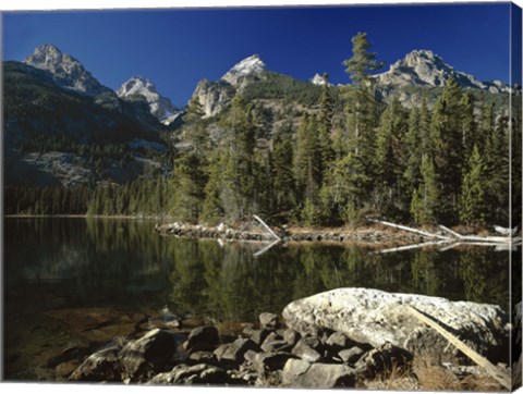 Framed Teton A Print
